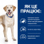 Сухой корм для собак Hill's Prescription Diet Canine D/D Food Sensitivities Duck & Rice 12 кг (605855) Хуст