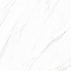 Плитка Sakar Granito 1199 Polished 60х60 см