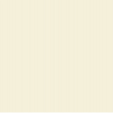 Плитка Asia Pacific 100 Ivory Soluble Salt 60х60 см