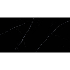 Плитка Asia Pacific Nero Marquina Black High Polished 60х120 см Лозовая