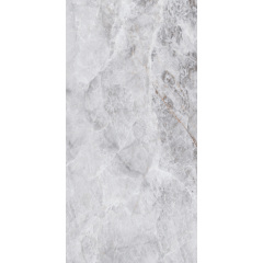 Плитка Asia Pacific Picasso Silver Polished 60х120 см Хмельницький