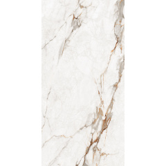 Плитка Asia Pacific Statuario Bottega Gold Polished 60х120 см Переяслав-Хмельницкий