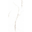 Плитка Asia Pacific Statuario Rich Gold Polished 60х120 см Киев