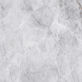 Плитка Asia Pacific Picasso Silver Polished 60х60 см
