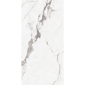 Плитка Asia Pacific Statuario Bottega Silver Polished 60х120 см