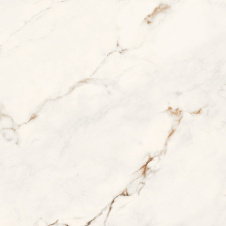 Плитка Itaca Satvario Daniel Polished 60х60 см