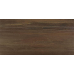 Плитка STN Ceramica Evolve Brown MT Rect. 60х120 см Ковель