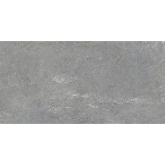 Плитка Tau Ceramica Caribbean Silver Lap. 60х120 см Мукачево