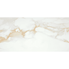 Плитка STN Ceramica Camile Gold Pul. Rect. 59х119 см