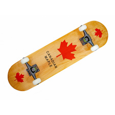 Скейтборд деревянный Sport Series Canadian maple Разноцветный (2008015934)