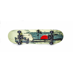 Скейтборд "Scale Sports" Malibu (1634107776) Черкассы