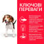 Сухой корм для собак Hill's Science Plan Puppy Medium Chicken 14 кг (604352) Киев