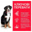 Сухой корм для собак Hill's Science Plan Adult Large Breed Lamb & Rice 14 кг (604373) Золотоноша