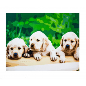 Картина по номерам ArtStory Собачки 50х65 см Разноцветный (447054836)