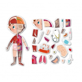 Детская развивающая игра DoDo Магнитное тело 123 элемента 4 карты Разноцветный (114795)