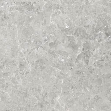 Плитка Ceramica Deseo DELIA GREY MATT RECT 8×598×598 мм