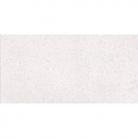 Плитка Lasselsberger Rako PORFIDO DASV1810 white 10×1198×598 мм