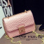 Сумка Berkani T-SB00256 Welli Gee Pink Кропивницкий