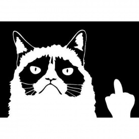 Наклейка в авто 3M Кот ученый 15х10 см Белый