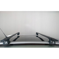 Автобагажник на крышу для PEUGEOT Partner mk I MPV 2001-2010 Aguri Runner Black Оріхів