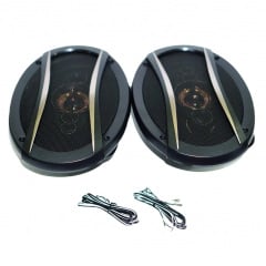 Автомобильные колонки RIAS TS-6996E овалы 6x9 двухполосные 900W (3_03597) Мукачево
