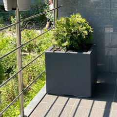 Вазон бетонный Лиссабон S 40x40x40 см, уличный садовый Кременчуг