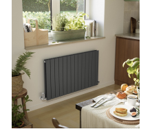 Дизайн-радиатор Terma Forte V20 550x1254 mm Black mat