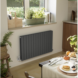 Дизайн-радіатор Terma Forte V20 550x1254 mm Black mat