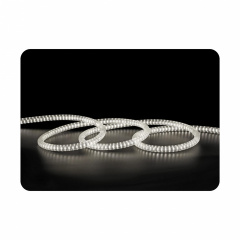 Светодиодная лента Horoz Electric AVON 6400K 220-240V влагозащищена (081-025-0001-030) Молочанськ