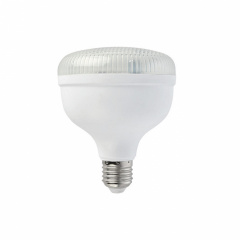 Светодиодная лампа Horoz Electric CRYSTAL-30 30W E27 6400K (001-016-1030-010) Киев