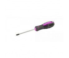 Викрутка хрестова РZ2*100 MASTERTOOL GM (48-5910)