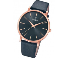 Годинник Festina F20373/2