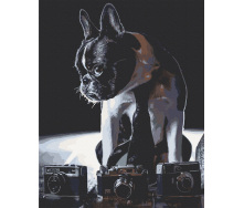 Картина за номерами Art Craft Сором'язливий фотограф 40х50 см 11642-AC
