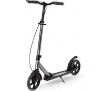 Самокат Frenzy 205 mm Dual Brake Recreational Titanium (1012-FR205DB-TI)