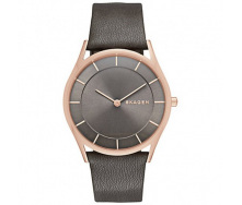 Годинник SKAGEN SKW2346