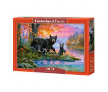 Пазли Castorland 