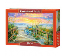 Пазли Castorland 