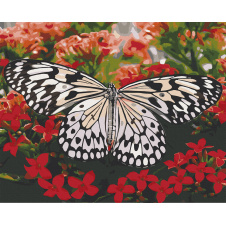 Картина за номерами Art Craft Красуня в квітах 40х50 см 13119-AC