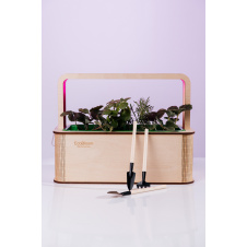 Фото - Розумний горщик для вирощування рослин Smart Garden Ecobloom Чайний набір 23х43х32 см Экокубик Розумний горщик для вирощування рослин Smart Garden Ecobloom Чайний набір 23х43х32 см Экокубик