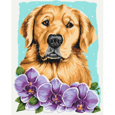 Картина за номерами BrushMe "Золотистий ретривер © Anna Kulyk" 40х50см BS53583