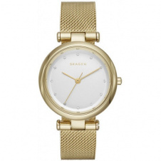 Годинник SKAGEN SKW2486