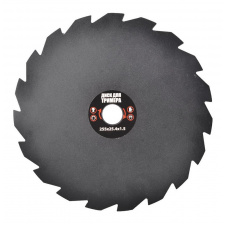 Диск для тримера MASTERTOOL 10" 19Тх25.4 мм 19-1913
