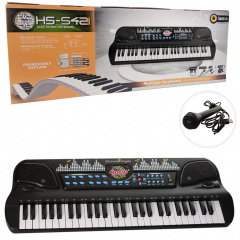 Синтезатор Metr+ HS5421 54 клавіші USB МР3 Броди