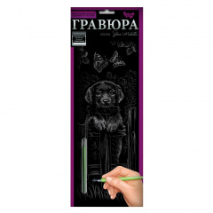 Набір для творчості Гравюра "Цуценя" Danko Toys GR-B2-02-08s Енергодар