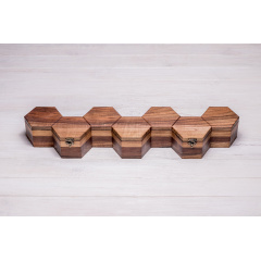 Бокс для зберігання годинників ecoWalnut 7.3х59.7х14.1 см Київ