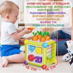 Інтерактивний Сортер 6в1 Розвиваюча Іграшка Монтессорі для Самих Маленьких 16х16х21 см Dborki (735) Енергодар