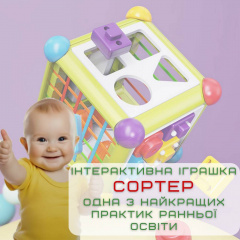 Інтерактивний Сортер 6в1 Розвиваюча Іграшка Монтессорі для Самих Маленьких 16х16х21 см Dborki (735) Енергодар