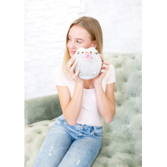 Комплект М'яких іграшок коти Pusheen cat із п'яти штук (vol-754) Гуляйполе