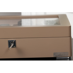 Скринька для зберігання годинників Salvadore WB/3420/8.TAN 320х245х87 мм Бежевий Городок