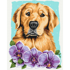 Картина за номерами BrushMe "Золотистий ретривер © Anna Kulyk" 40х50см BS53583 Покровськ